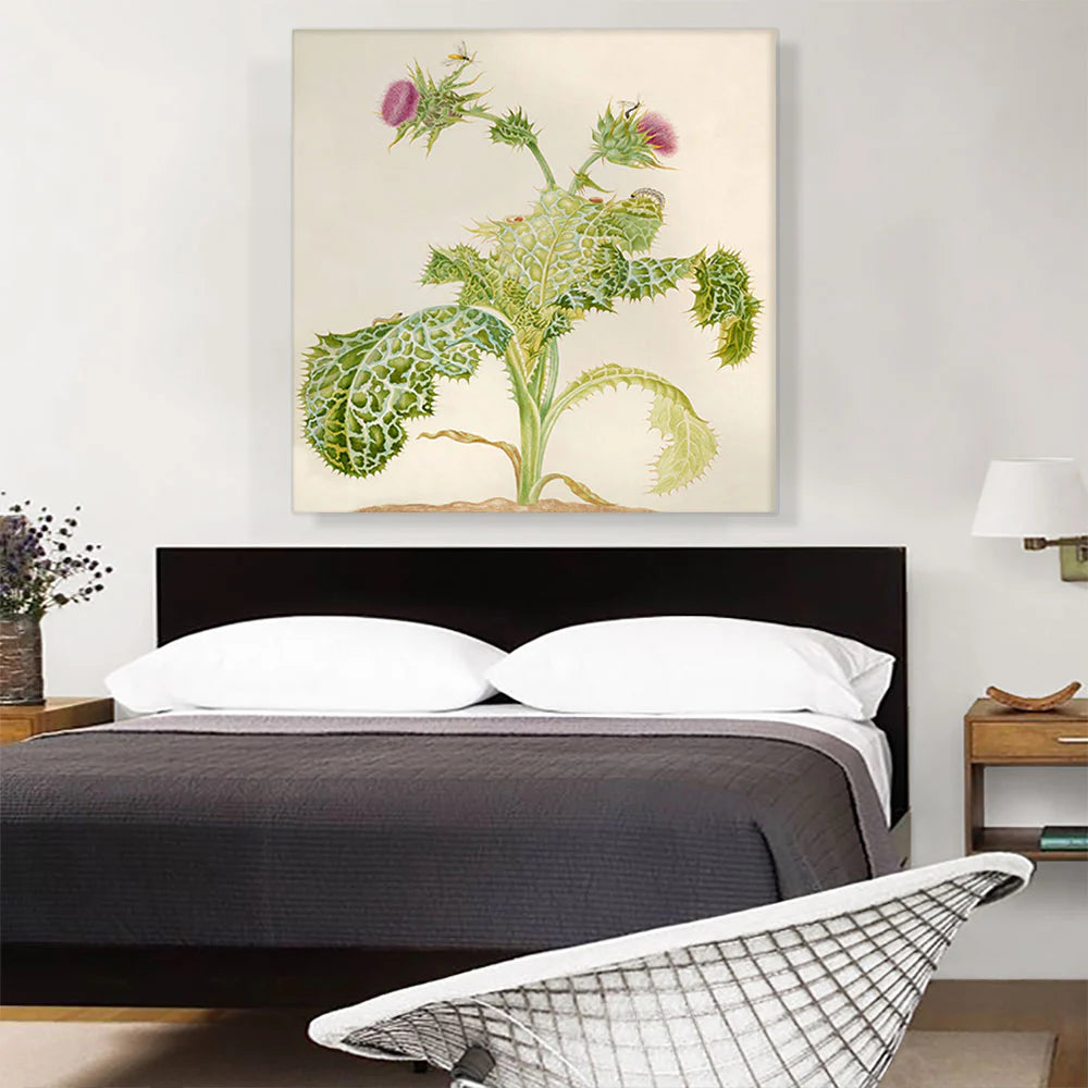 Milk Thistle